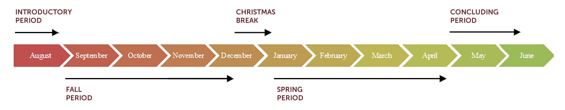 Diagram of Propaedeutic Year at-a-glance.