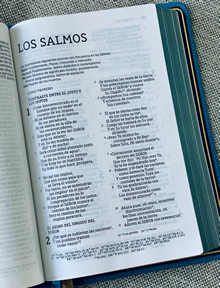 Bible in Spanish